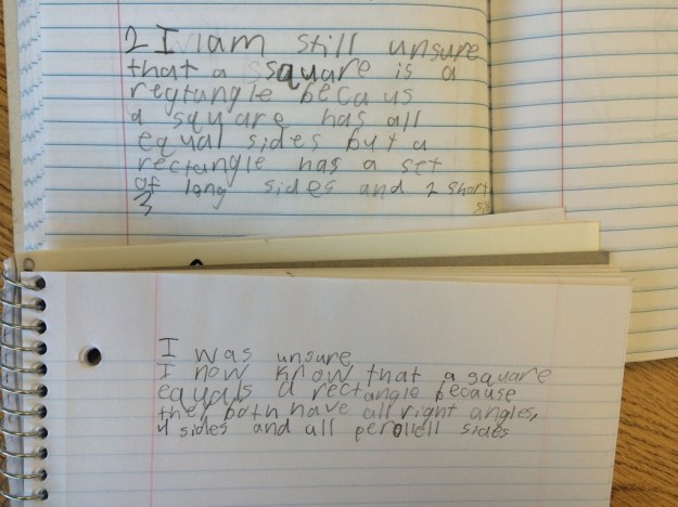 Pre/Post Assessment Reflection | MathMinds