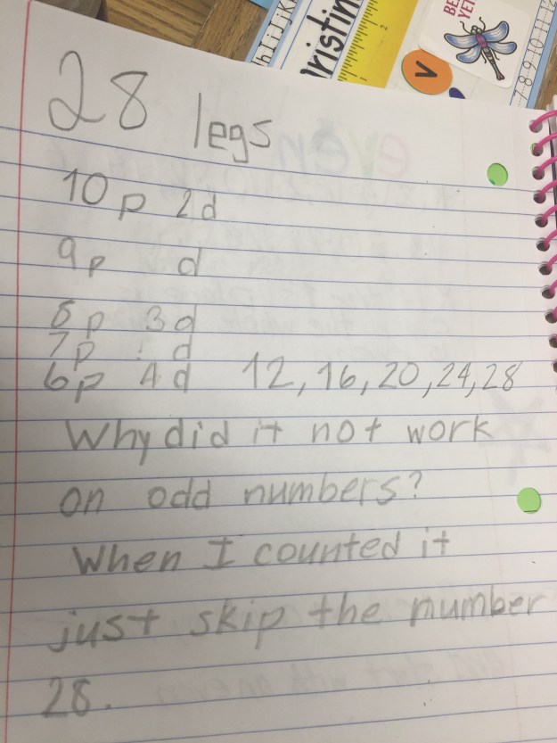 FullSizeRender 8.jpg