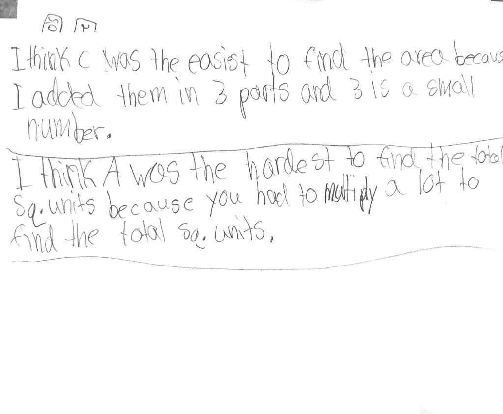 Area Task in 3rd Grade | MathMinds